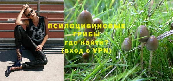 каннабис Алексин