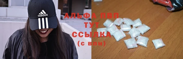 СК Алзамай