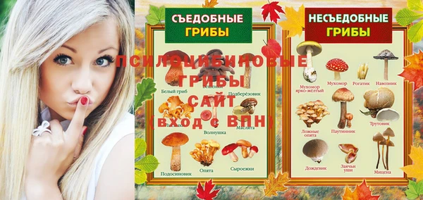 сатива Алексеевка