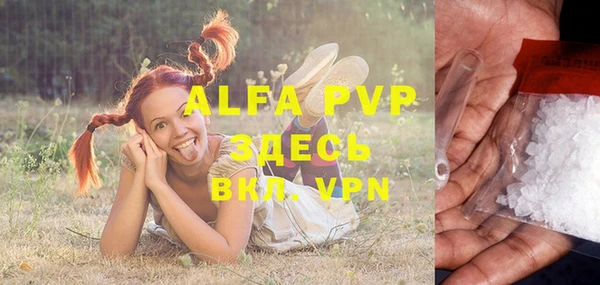 сатива Алексеевка