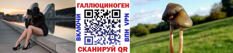 цена наркотик  Каневская  mega как войти  Галлюциногенные грибы ЛСД 